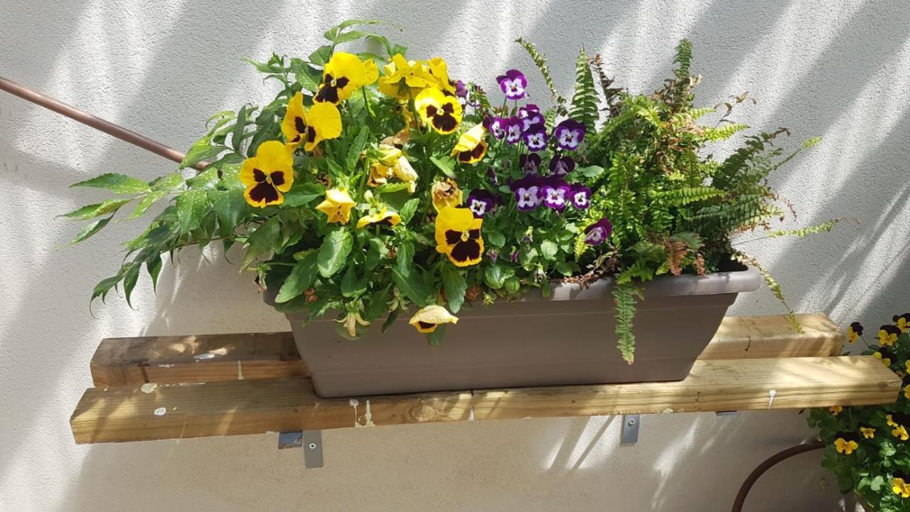 צימר רומנטי ואיכותי בפרדס חנה La Baita Exterior foto